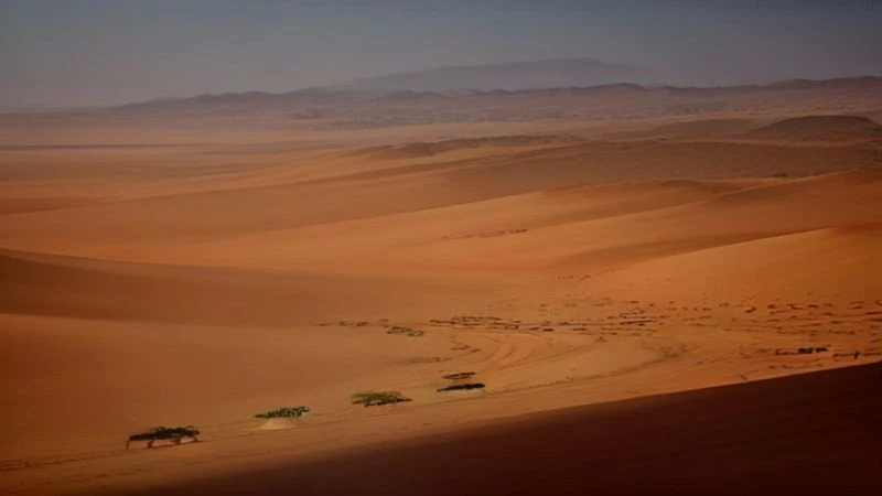 إعادة تموضع عسكرية كبرى: القوات المسلحة في اليمن تُنفذ خطوة مفاجئة بالساحل الغربي